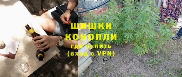 PSILOCYBIN Балахна