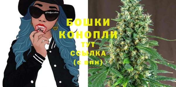 PSILOCYBIN Балахна