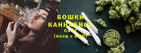 PSILOCYBIN Балахна