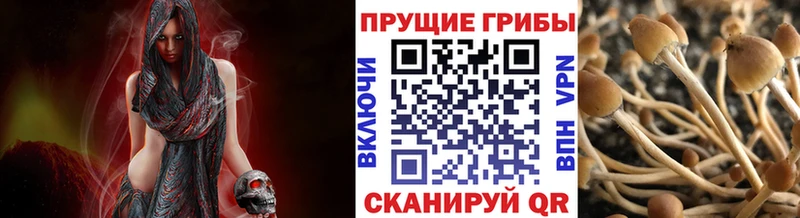 Псилоцибиновые грибы мицелий  Купить закладки  Лакинск 